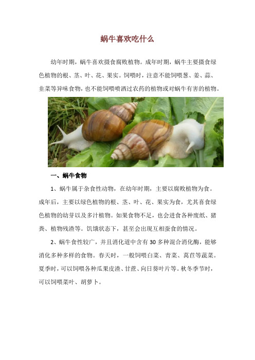 蜗牛喜欢吃什么