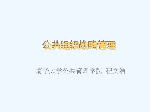 公共组织战略管理