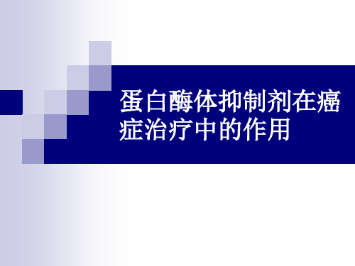 蛋白酶体
