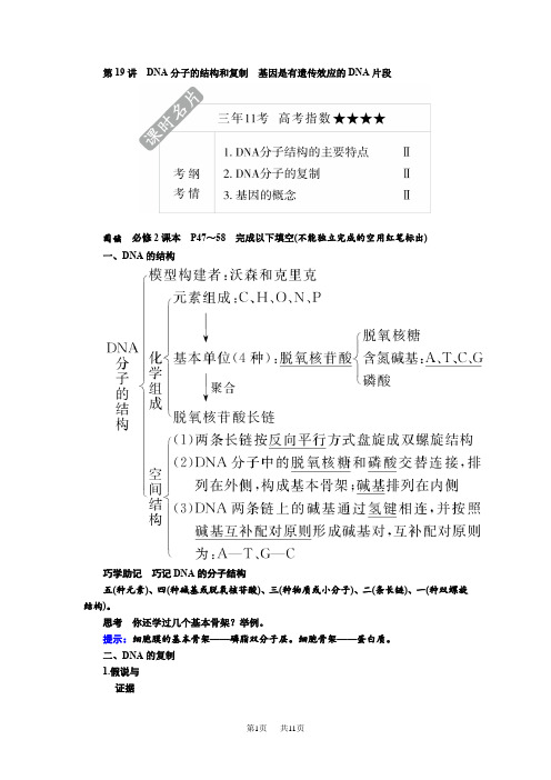 【人教版】高考生物一轮教案：第19讲-dna分子的结构和复制(含答案)