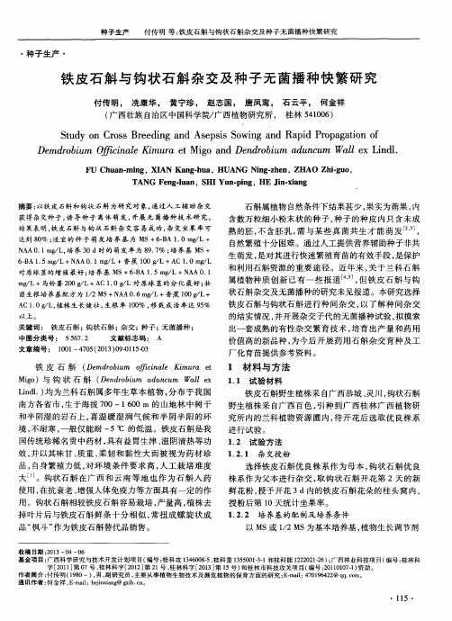 铁皮石斛与钩状石斛杂交及种子无菌播种快繁研究