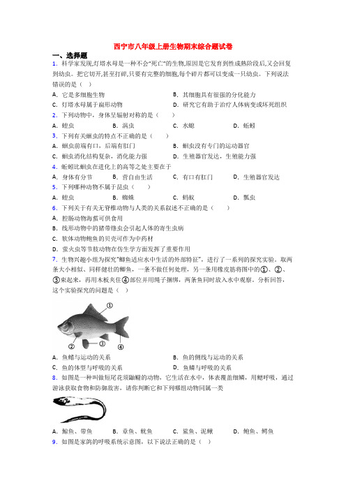 西宁市八年级上册生物期末综合题试卷