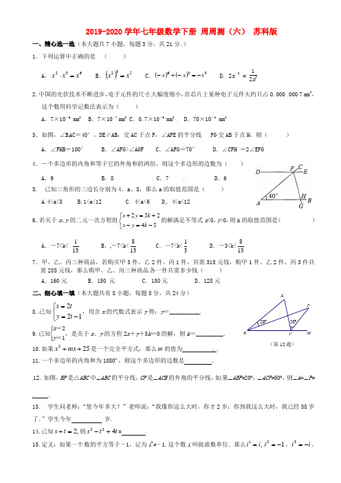 2019-2020学年七年级数学下册 周周测(六) 苏科版