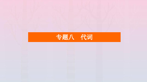 老高考适用2023高考英语一轮总复习第二编语法突破专题八冠词课件北师大版