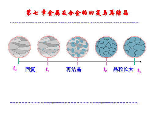 7.金属及合金的回复与再结晶