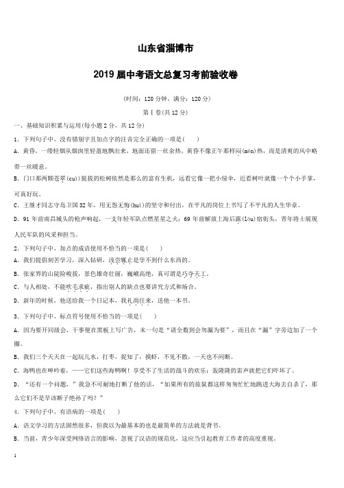 山东省淄博市2019届中考语文总复习考前验收卷及答案