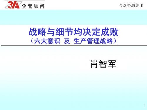 战略与细节决定成败-肖智军(中国制造业09高峰会)