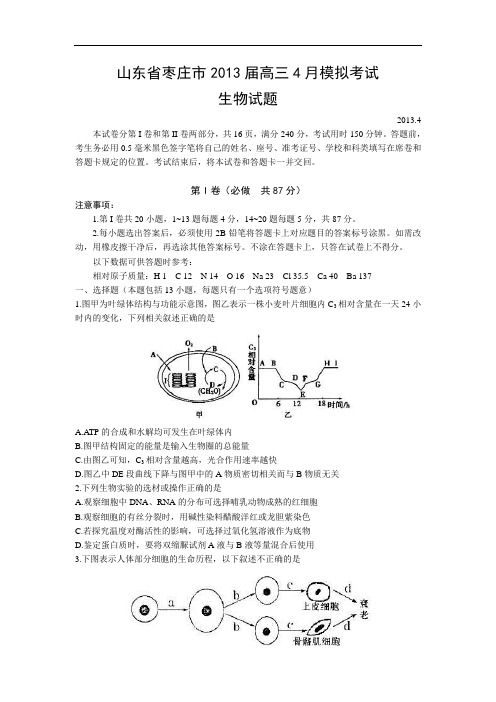 生物高考模拟卷-高三生物试题及答案-枣庄市高三4月模拟考试