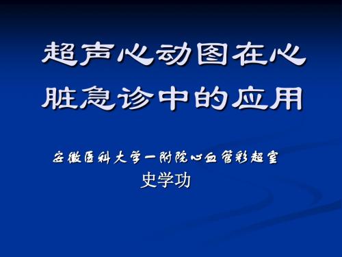 超声心动图在心血管急诊中应用