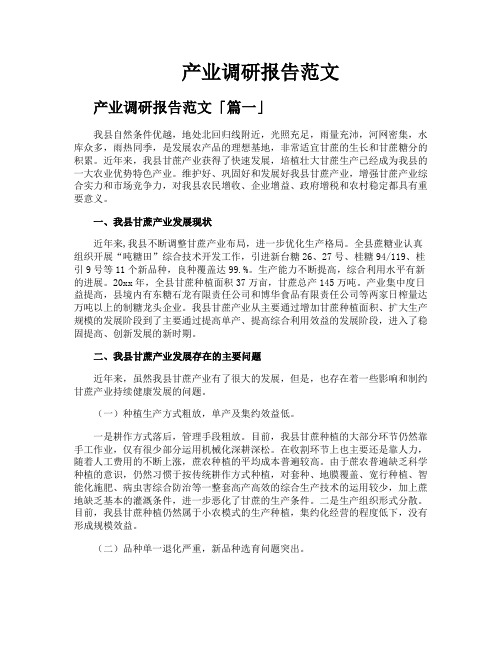 产业调研报告范文