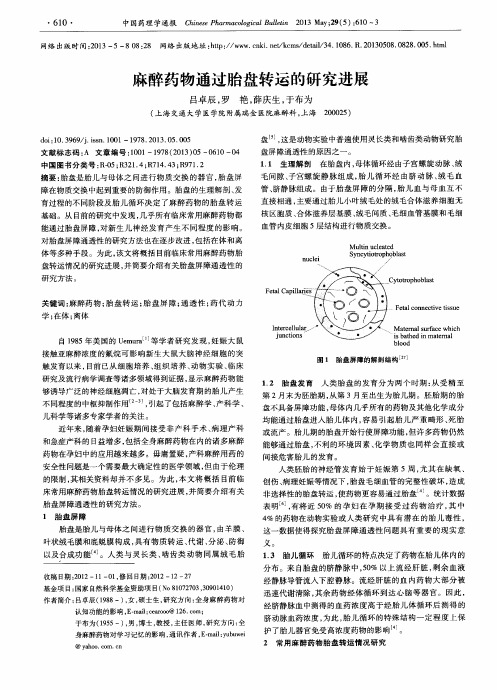 麻醉药物通过胎盘转运的研究进展