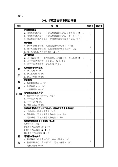 团支部考核表