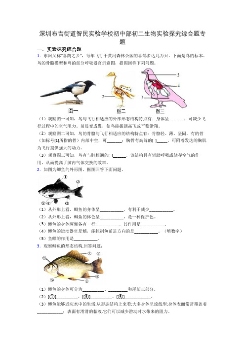 深圳布吉街道智民实验学校初中部初二生物实验探究综合题专题