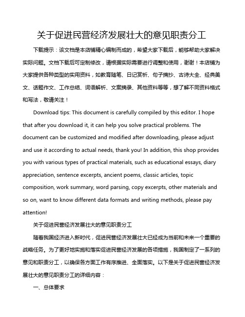 关于促进民营经济发展壮大的意见职责分工