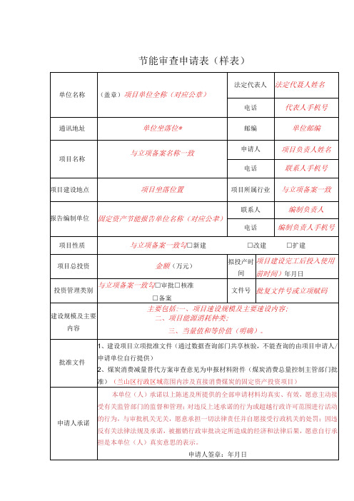 节能审查申请表样表