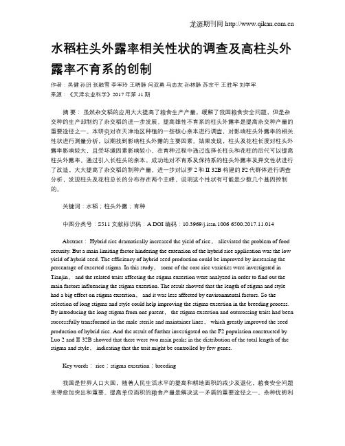 水稻柱头外露率相关性状的调查及高柱头外露率不育系的创制