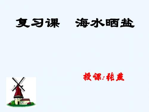 鲁教版化学九年《海水晒盐》ppt课件