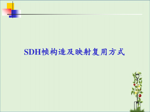 SDH帧结构及映射复用方式分析