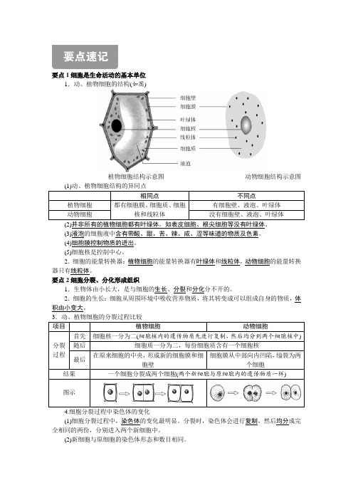 中考生物 必背笔记