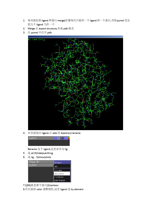 pymol做图简单教程