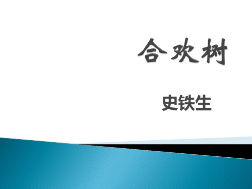 《合欢树》省优质课一等奖