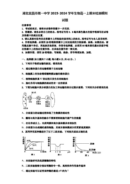 湖北宜昌市第一中学2023-2024学年生物高一上期末检测模拟试题含解析