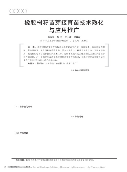 橡胶树籽苗芽接育苗技术熟化与应用推广