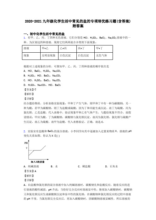 2020-2021九年级化学生活中常见的盐的专项培优练习题(含答案)附答案