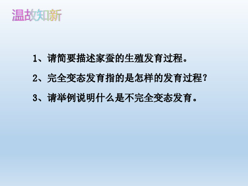 人教版八年级生物 下册 第七单元  两栖动物的生殖和发育 课件