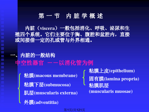 大学人体及动物生理学件七消化系统