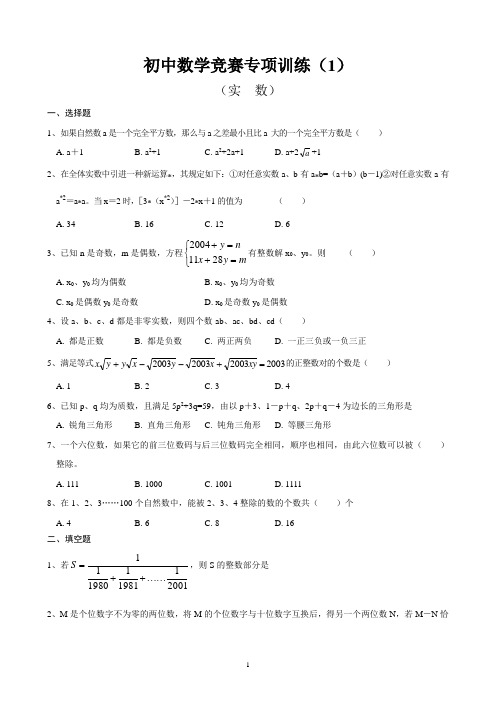 初中数学竞赛专题训练试题及解析(共10套)