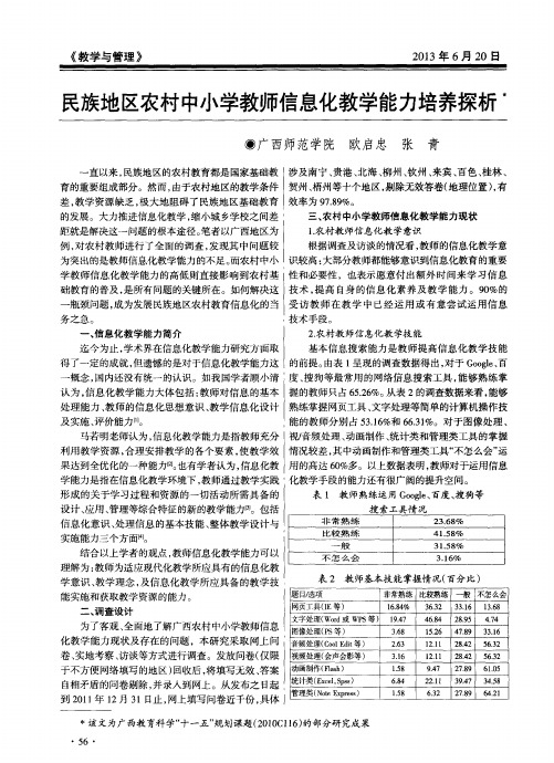 民族地区农村中小学教师信息化教学能力培养探析