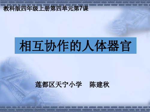 教科小学科学四上《4.7、相互协作的人体器官》PPT课件(1)