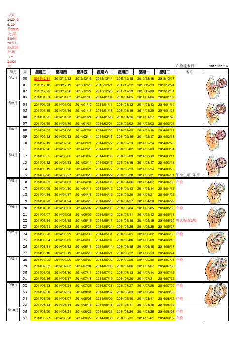 孕期周周跟踪表