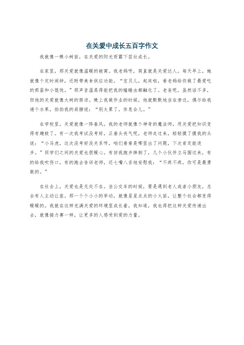 在关爱中成长五百字作文