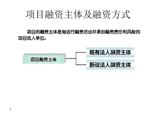 新设法人融资项目PPT课件