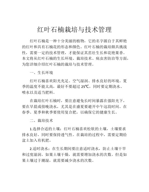 红叶石楠栽培与技术管理