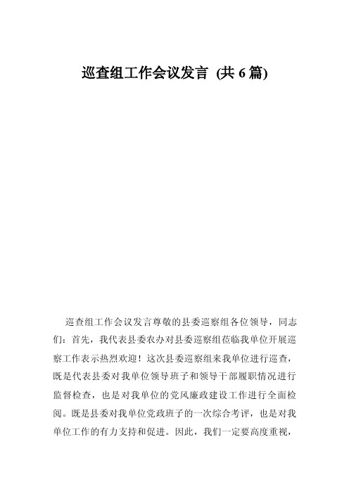 巡查组工作会议发言（共6篇）