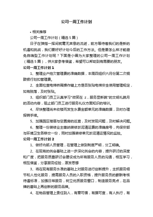 公司一周工作计划