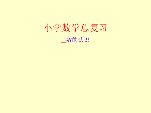 小学数学总复习PPT