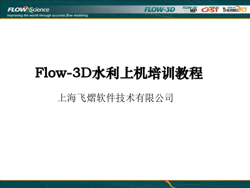 FLOW-3D水利工程详细案例教程