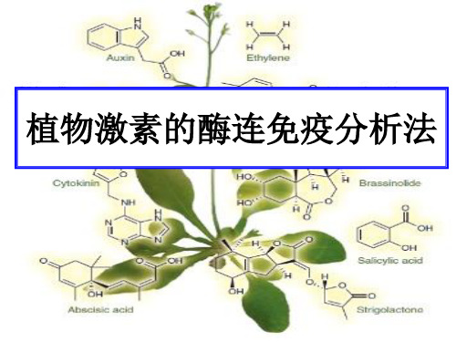 植物激素的测定方法