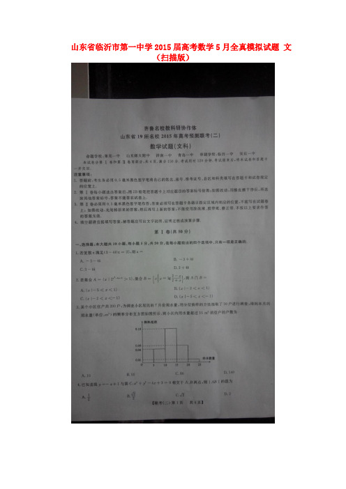 山东省临沂市第一中学高考数学5月全真模拟试题 文(扫描版)