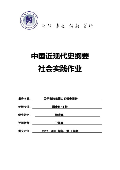 黄河花园口社会实践报告(近代史纲要)