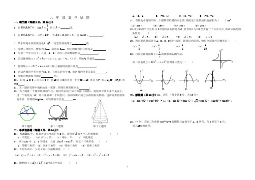 2010——2011学年下学期九年级期末考试