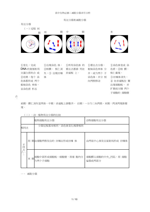 高中生物必修二减数分裂详尽分析