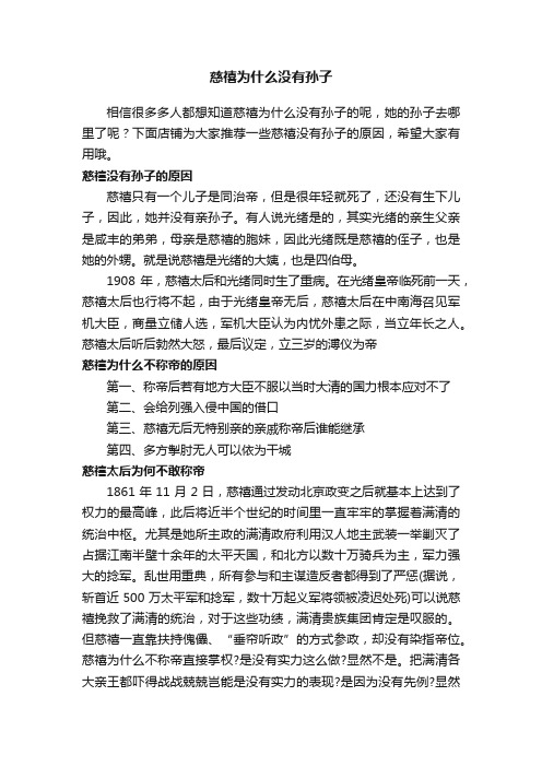 慈禧为什么没有孙子