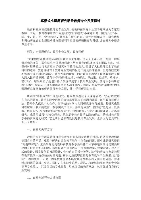 草根式小课题研究助推教师专业发展探讨