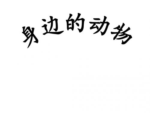 二年级上册科学课件-1.1我们身边的动物3  人教版