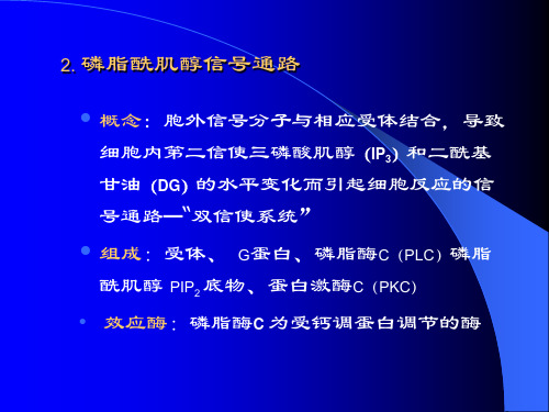 《细胞生物学》第五章物质跨膜运输4ppt课件